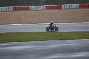 IMG_5981